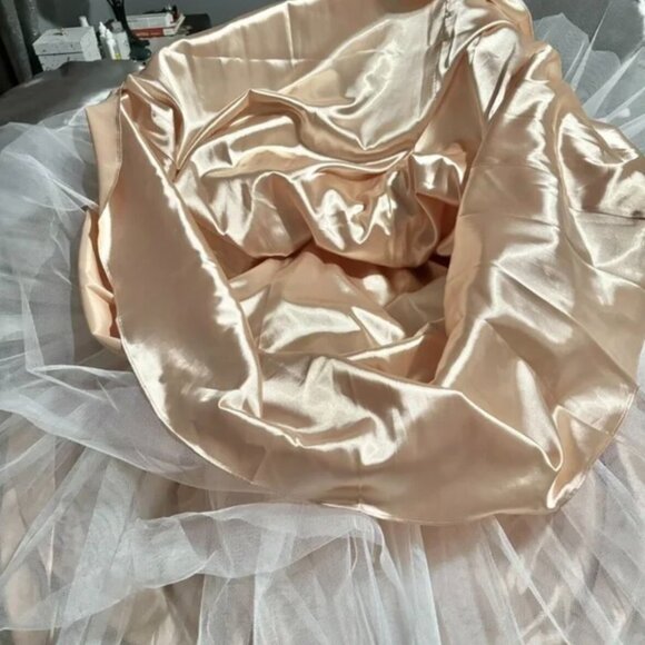 Jovani Champagne Crystal Evening Gown – Size 14 – Worn Once - Picture 9 of 13